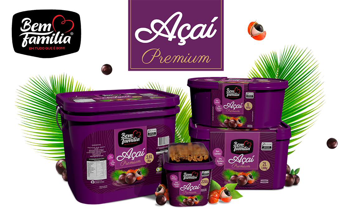 BEM FAMILIA LINHA DE POTES DE AÇAÍ 3-6L - 1L - 2L - 220G - 02